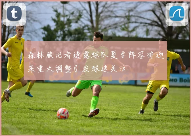 森林狼记者透露球队夏季阵容将迎来重大调整引发球迷关注